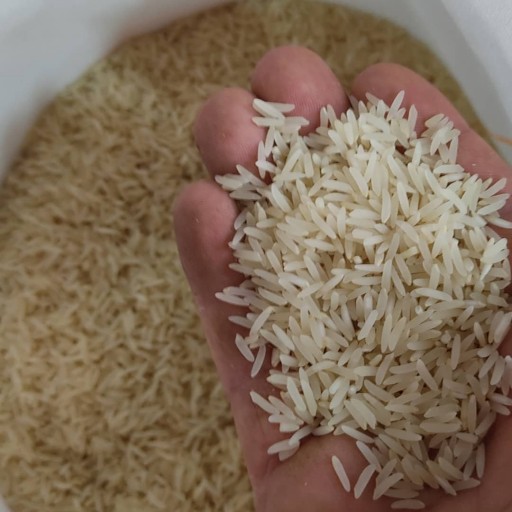 برنج فجر اعلا شلتوک (10 کیلوگرمی)