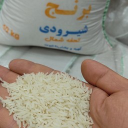 برنج شیرودی شلتوک (10 کیلوگرمی)