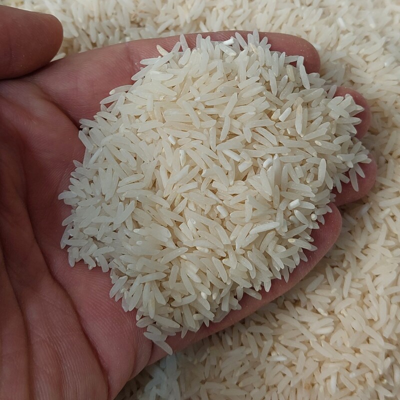 برنج طارم فجر سرگل کیسه ده کیلویی 900هزارتومان(ارسال رایگان)