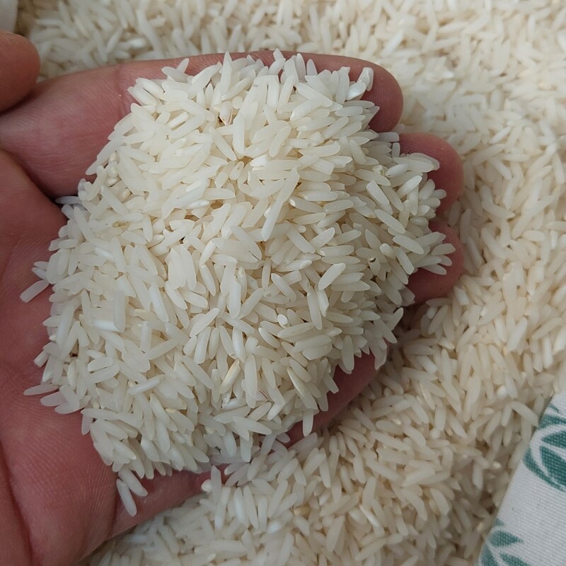 برنج هاشمی اعلاء کیسه ده کیلویی 1،100هزار تومان(ارسال رایگان)