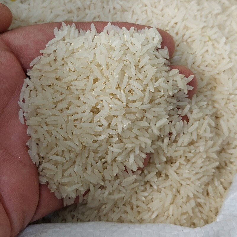 برنج طارم عطری محلی کیسه ده کیلویی 1،130 هزارتومان(ارسال رایگان)