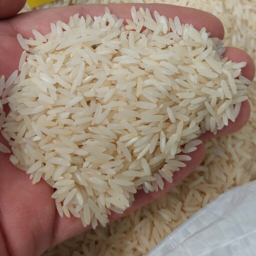 برنج طارم دودی اعلاء کیسه ده کیلویی 850 هزارتومان(ارسال رایگان)