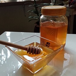 عسل اسطخدوس ظرف یک کیلویی
