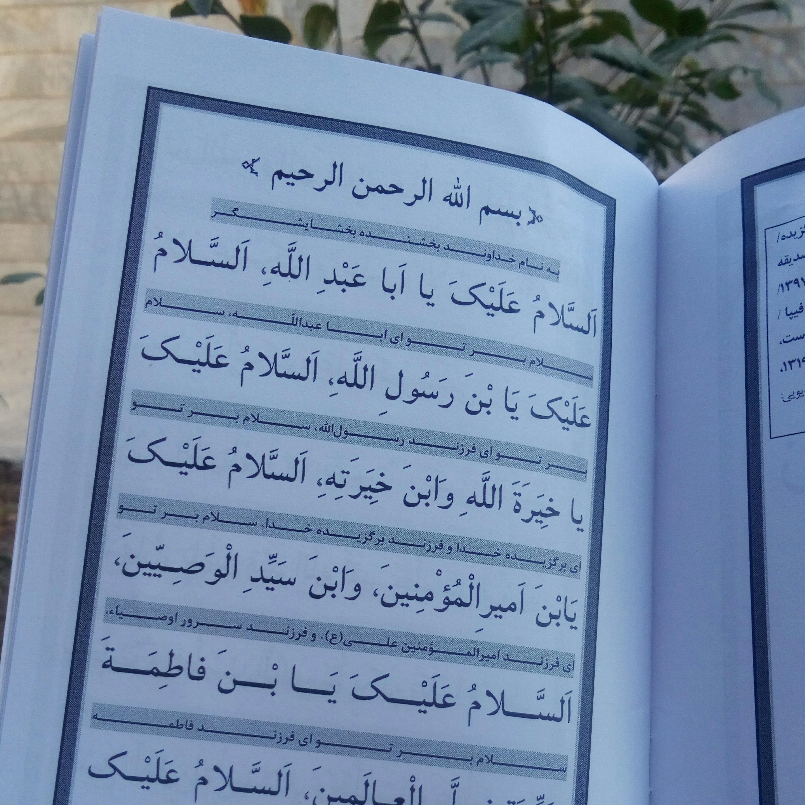 چاپ سفارشی 10 جلد کتاب زیارت عاشورا(نیایش 2) از انتشارات شبنما