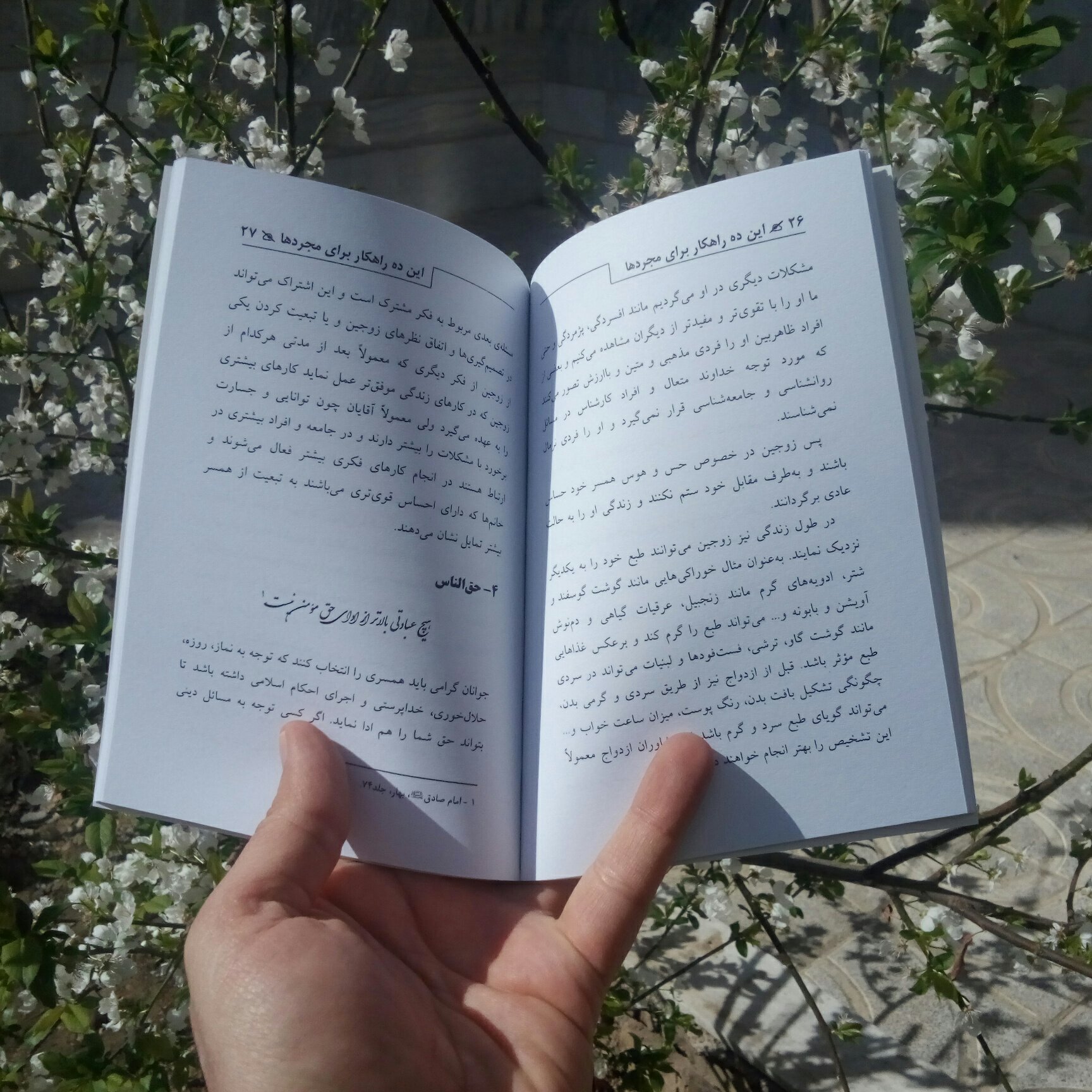 کتاب این ده راهکار برای مجردها از انتشارات شبنما در قطع جیبی