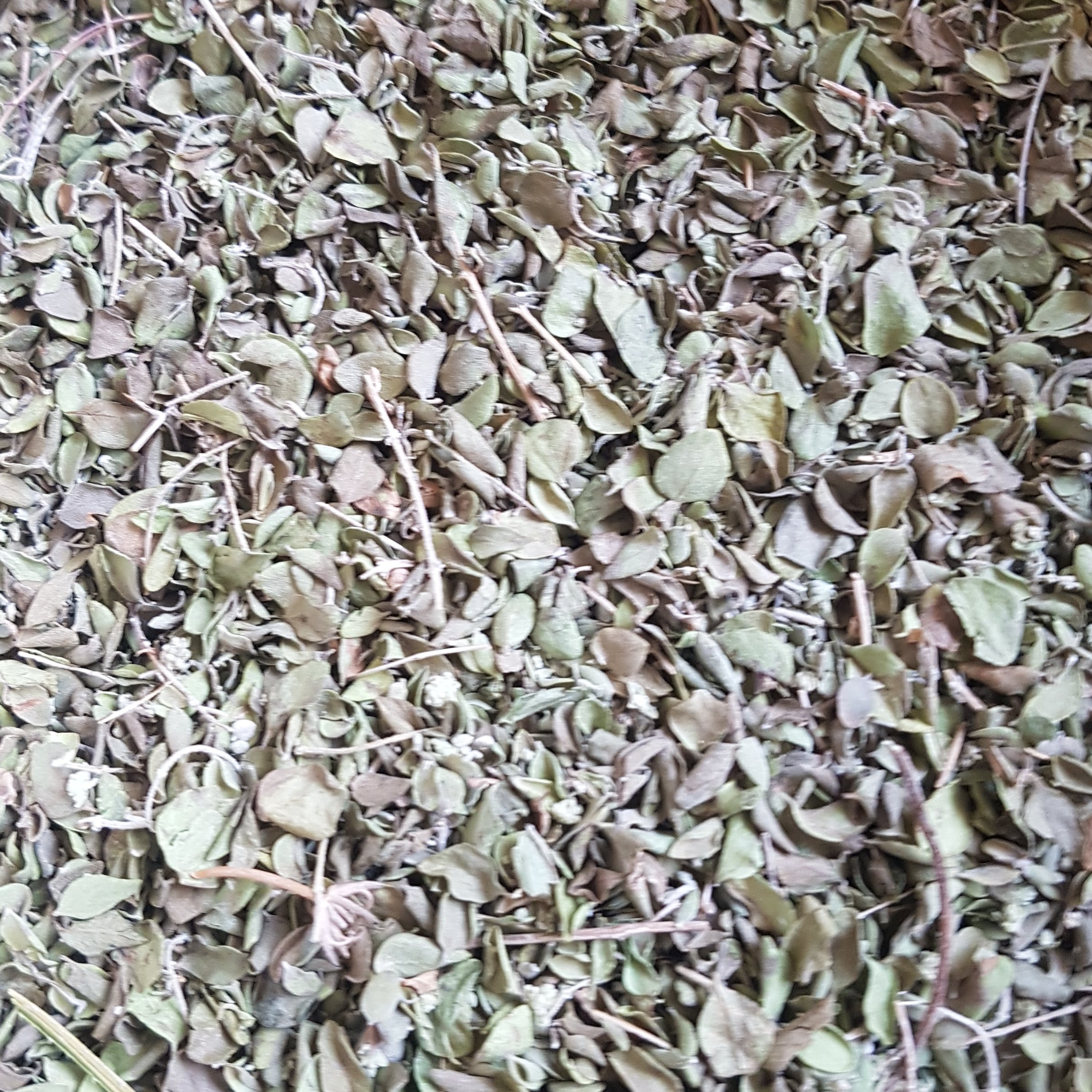 آویشن کوهی