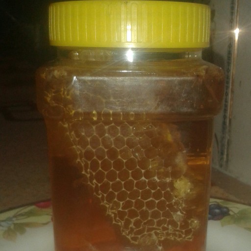 عسل طبیعی زاگرس(1کیلوگرمی)