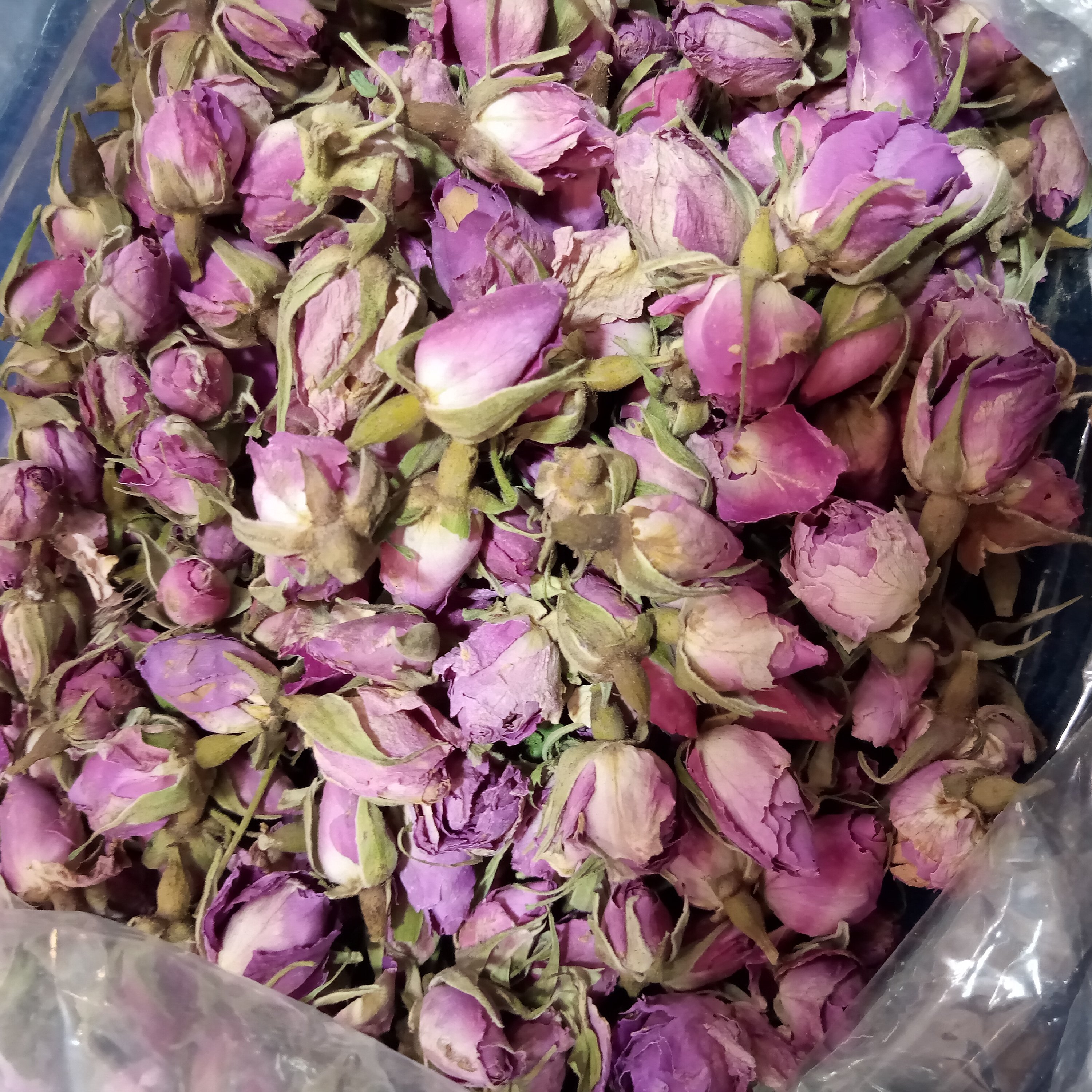 غنچه گل محمدی عطاری آرامش