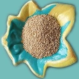 کینوا طلائی پرمغز 10 کیلوگرم ( خاویار گیاهی ) 