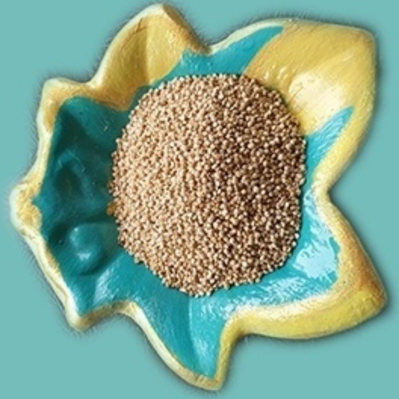 کینوا طلایی پرمغز خاویار گیاهی 1کیلوگرم-صد در صد خالص و بدون خاک و شن - شستشو شده