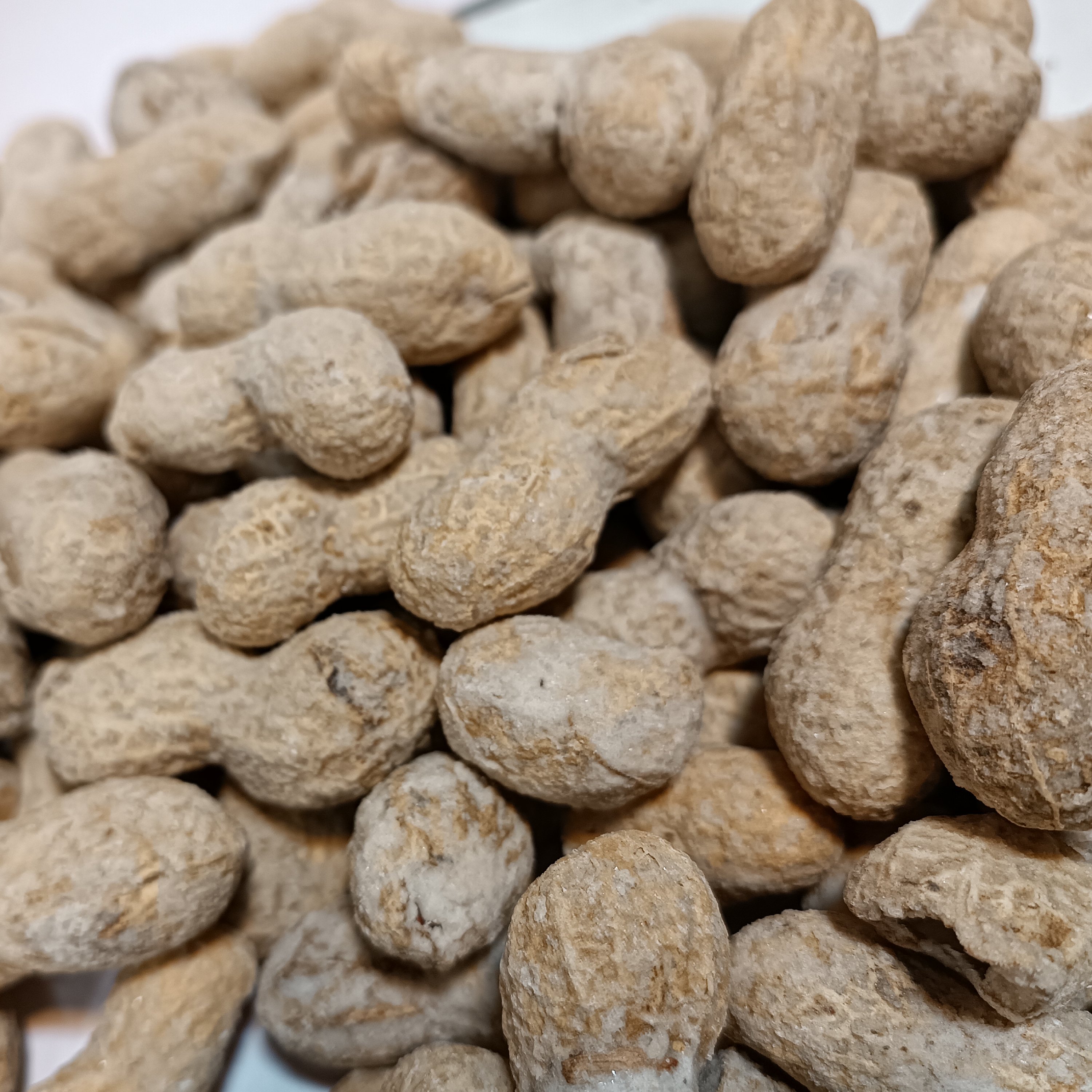 بادام زمینی غلاف‌دار لعابی (1کیلو)