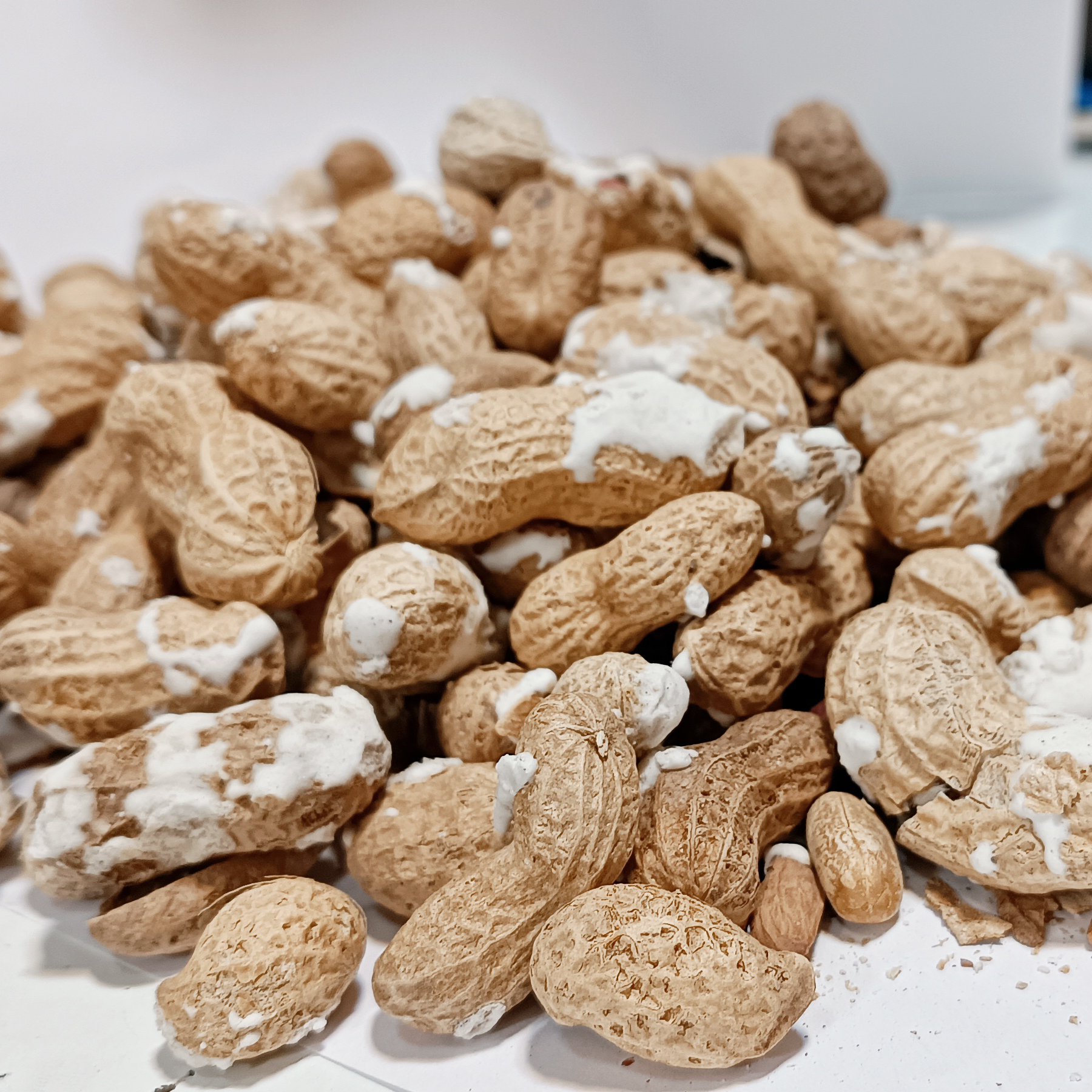 بادام زمینی غلاف‌دار خال نمک(1کیلو)