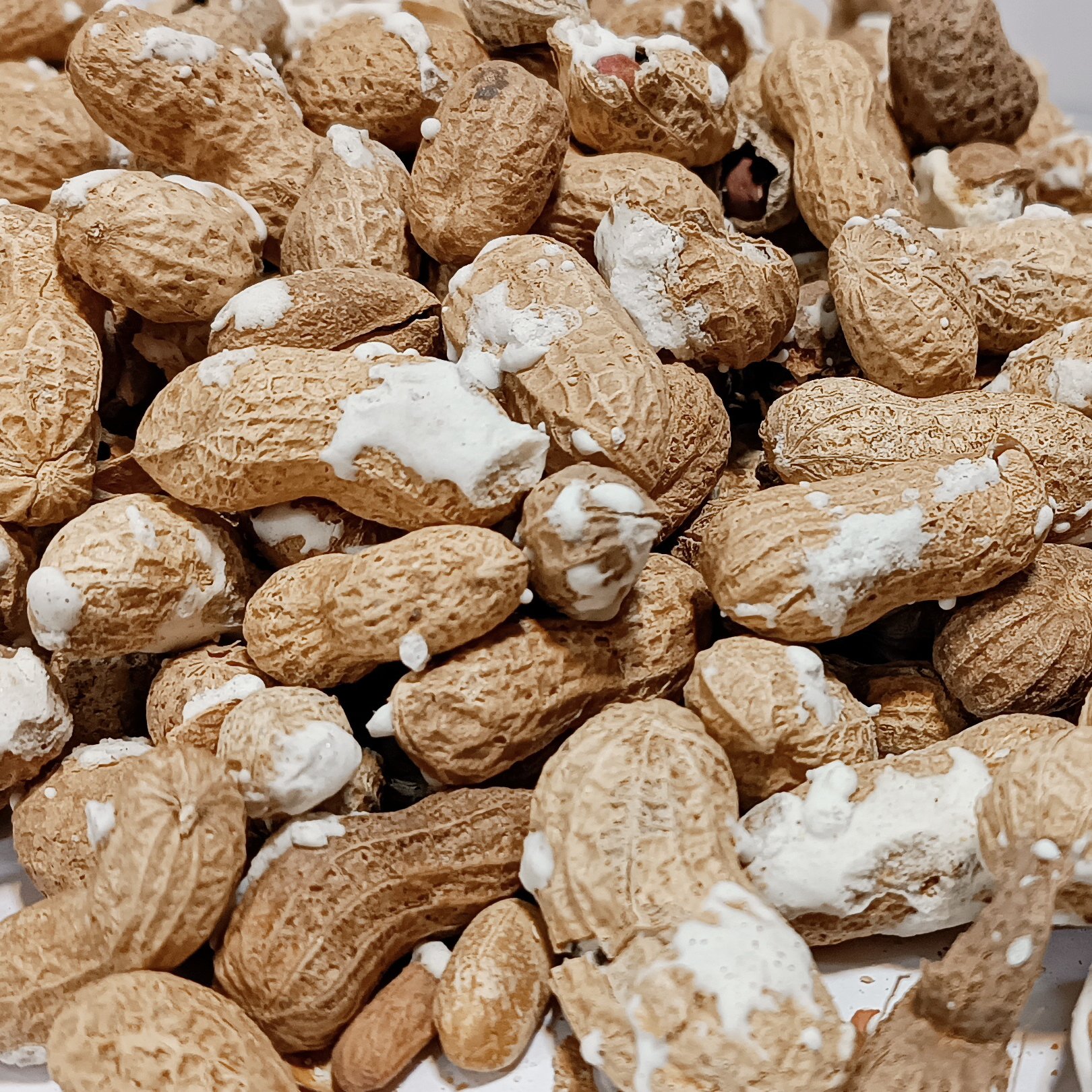 بادام زمینی غلاف‌دار خال نمک(1کیلو)