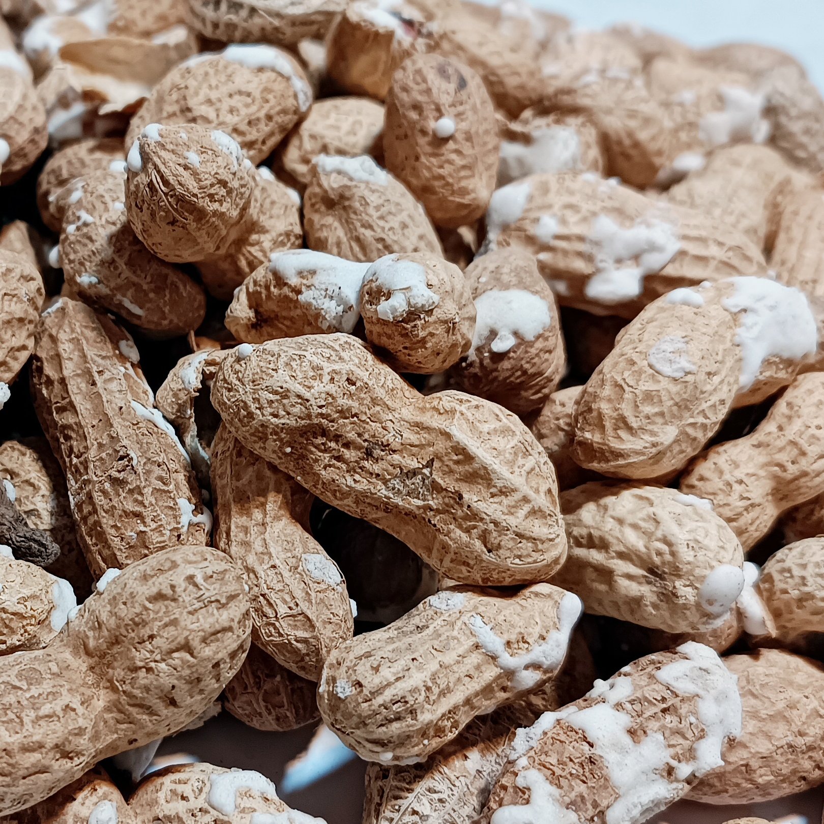 بادام زمینی غلاف‌دار خال نمک(1کیلو)