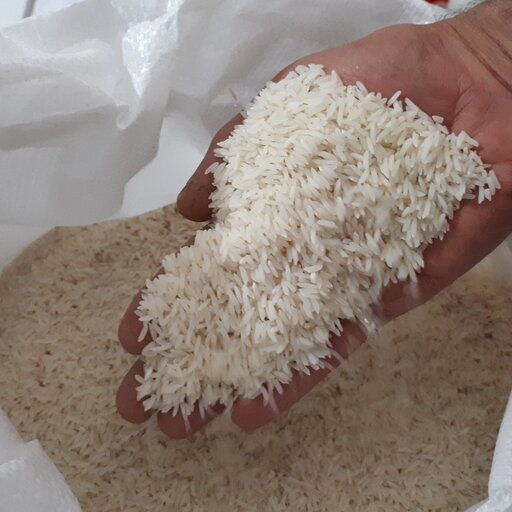 برنج هاشمی گیلان  10 کیلویی هزینه ارسال به عهده خود مشتری