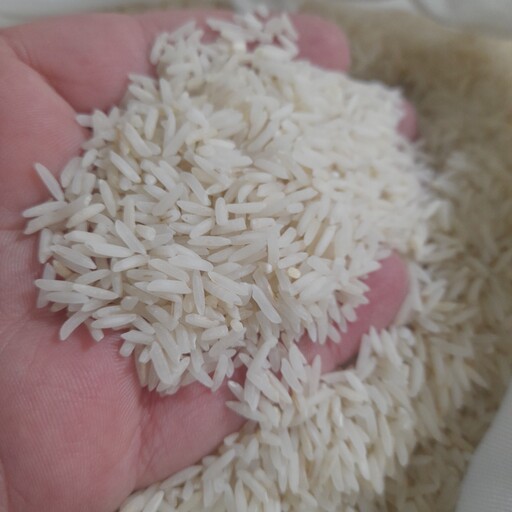برنج  فجر گرگان (( 10کیلوگرم))