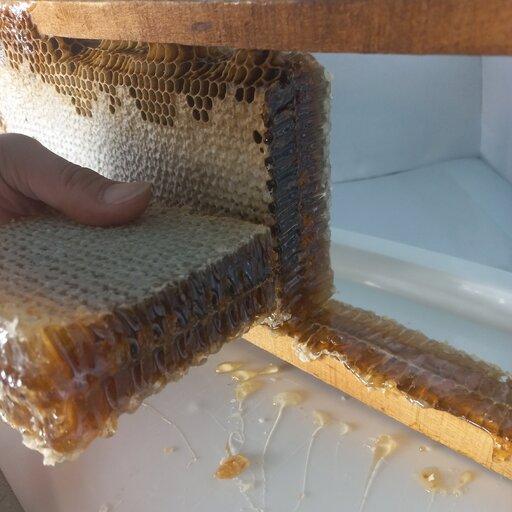 عسل کاملا طبیعی موم دار  سبلان ، عسل بهاره **فروش ویژه📢🎉🎉📢**(فروشگاه مزرعه)