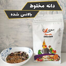 دانه مخلوط بالانس شده مناسب طوطی سانان متوسط و ریز جثه