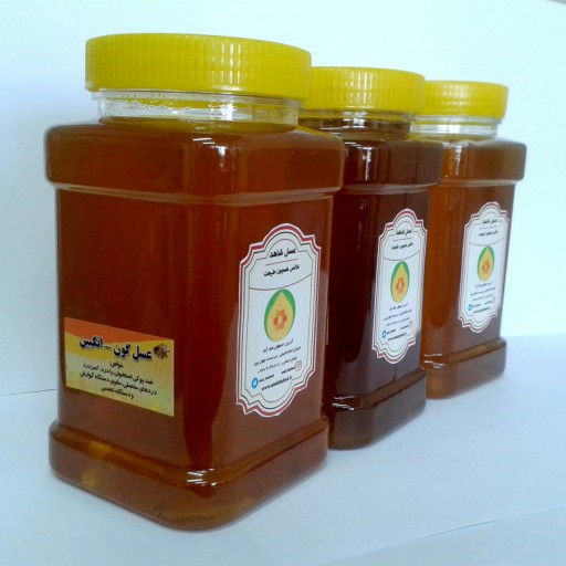 عسل طبیعی گون-انگبین یک کیلویی