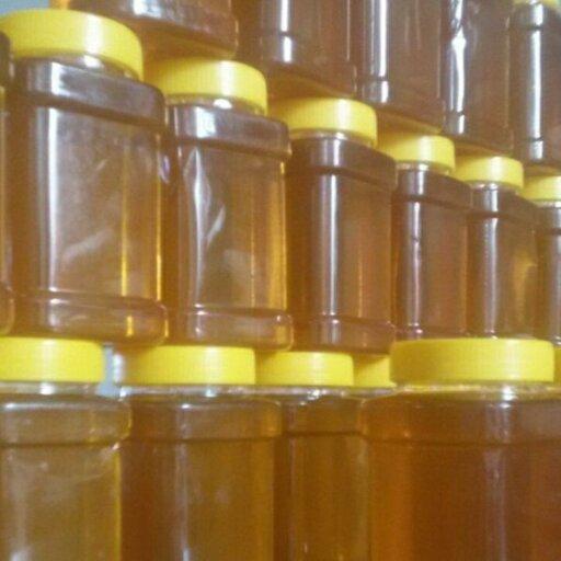 عسل گون وحشی  رنگ زرد طبیعی 5ساله درمانی ( ارسال رایگان)
