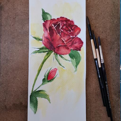 نقاشی کارت پستال آبرنگی گل رز در انواع مختلف