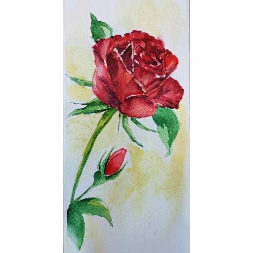 نقاشی کارت پستال آبرنگی گل رز در انواع مختلف