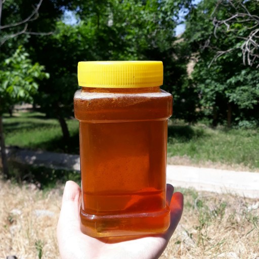 عسل چهل گیاه نیم کیلویی