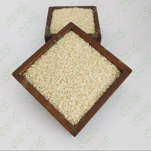 برنج لنجان 10 کیلویی گیاهینو  (ارسال رایگان)