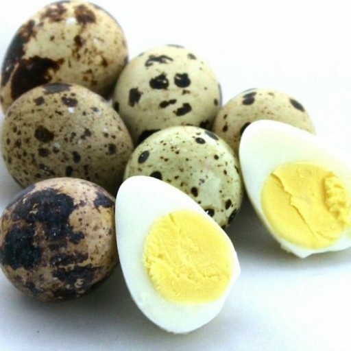 تخم فله بلدرچین (نیم کیلیویی)