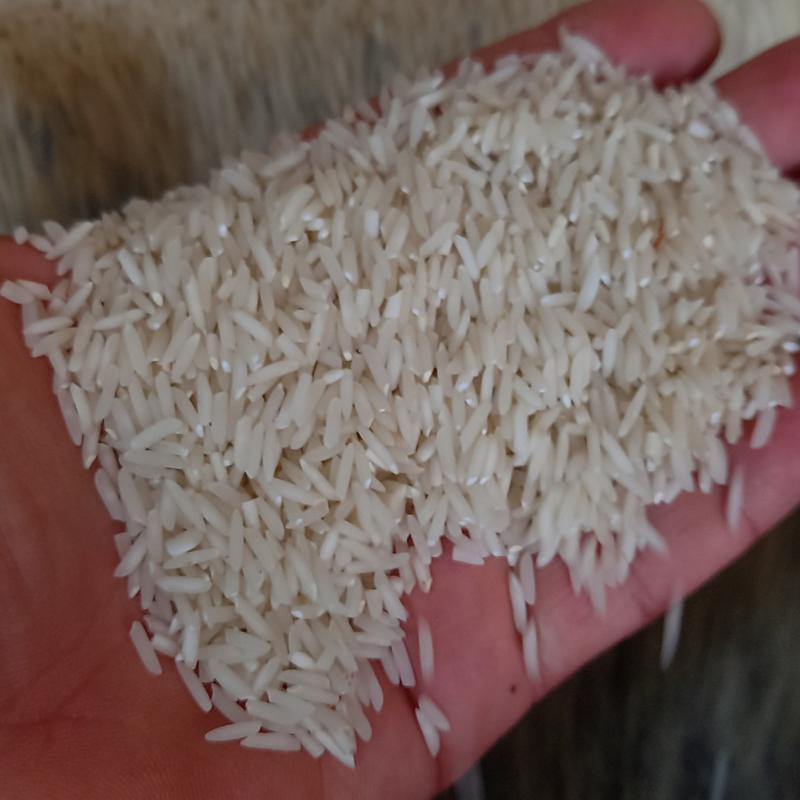 برنج طارم هاشمی اعلاء تازه (10کیلوگرم) تضمین کیفیت و مرجوعی فروش با تخفیف ویژه