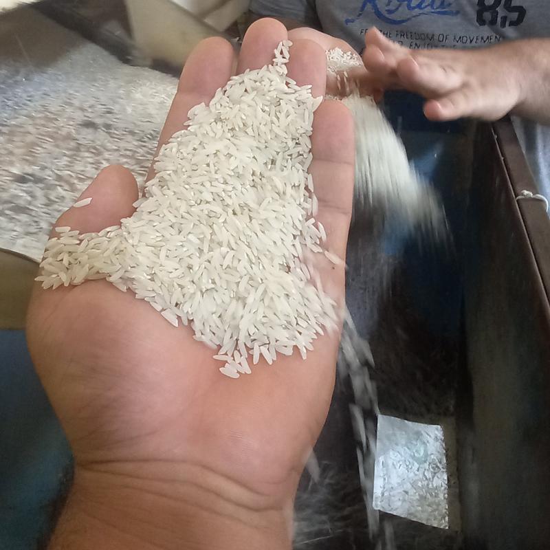 برنج طارم هاشمی اعلاء تازه (10کیلوگرم) تضمین کیفیت و مرجوعی فروش با تخفیف ویژه