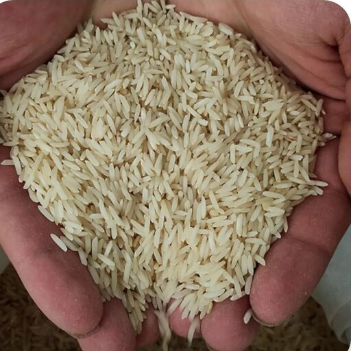 برنج طارم استخوانی یک‌دست اعلا (تضمین کیفیت پخت) 10کیلو گرم