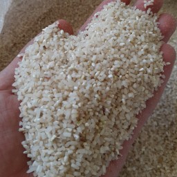 خورده برنج طارم هاشمی محلی 5 کیلویی با ارسال رایگان