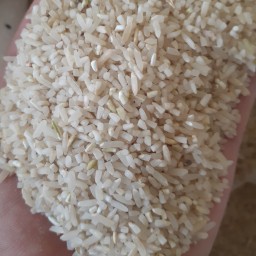برنج نیم دانه طارم هاشمی محلی 10 کیلویی با ارسال رایگان