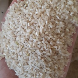 برنج نیم دانه طارم هاشمی محلی 5 کیلویی با ارسال رایگان
