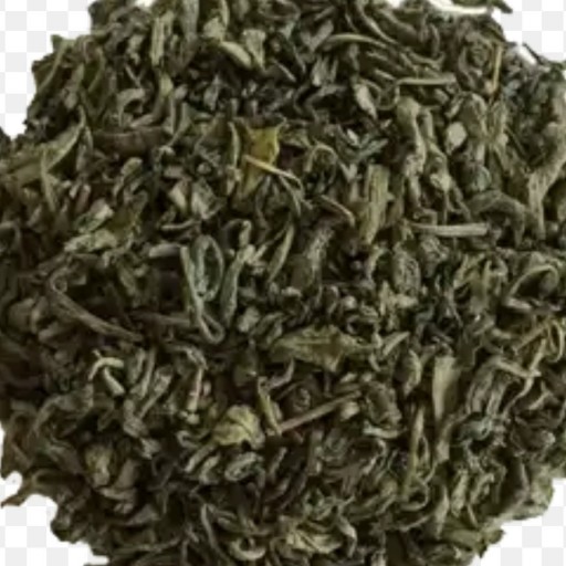 چای سبز اصل درجه یک لاهیجان