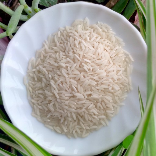 برنج امساله هاشمی 1/5کیلو