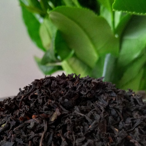 چای سیاه ممتاز املش1402(500گرم)