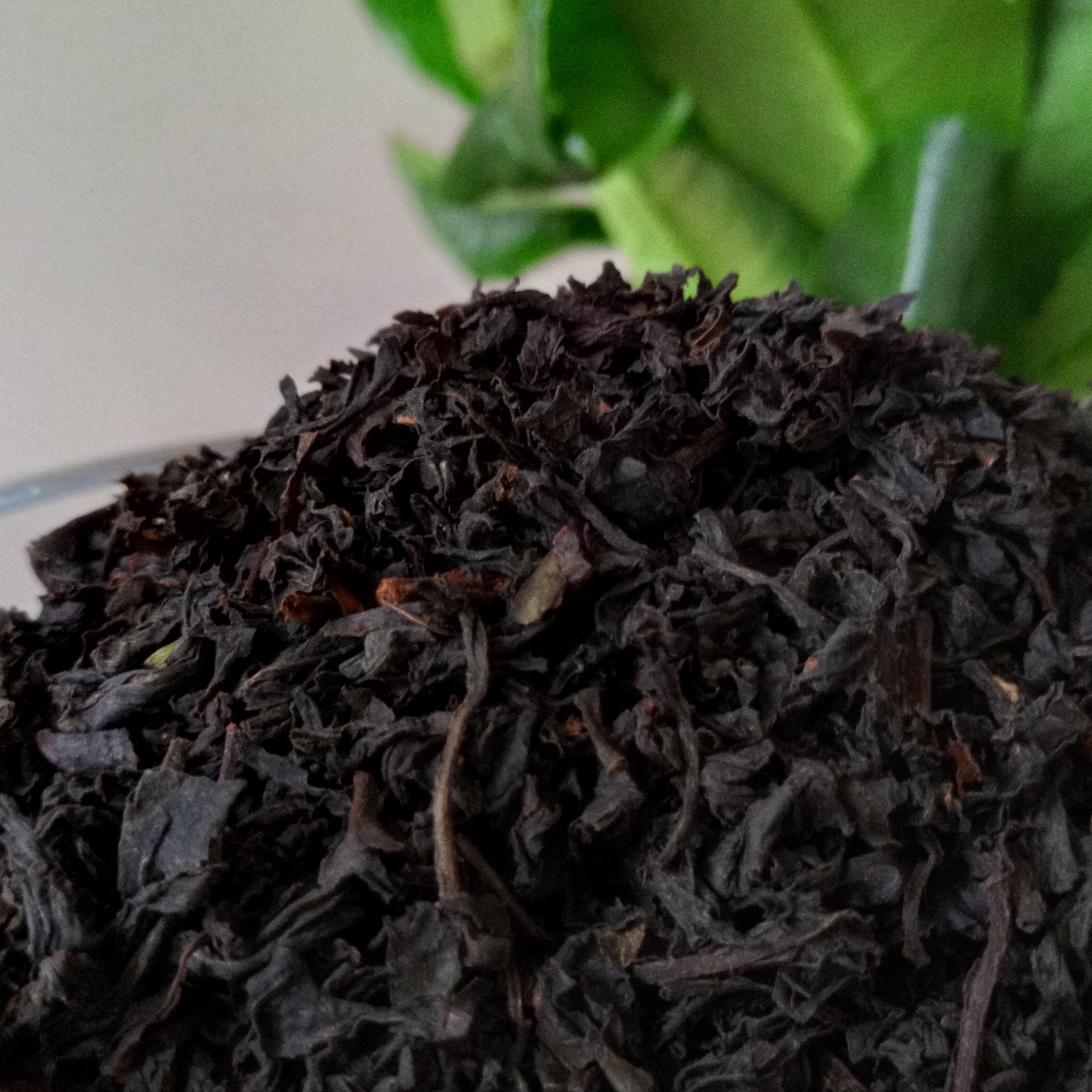 چای سیاه ممتاز املش1404(500گرم)
