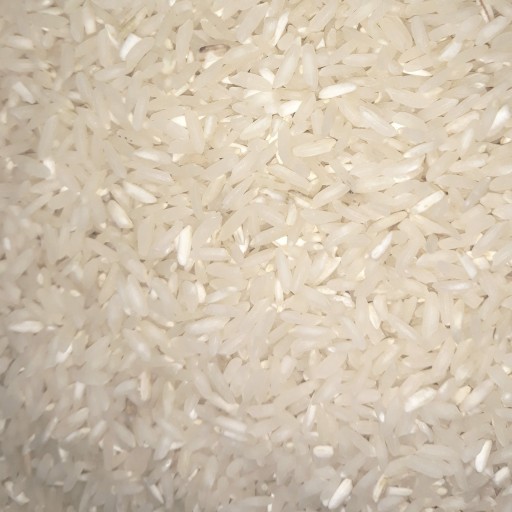 برنج دردیس، راتون 10 کیلویی