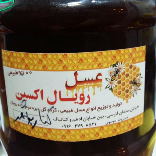 عسل کنار بوشهر