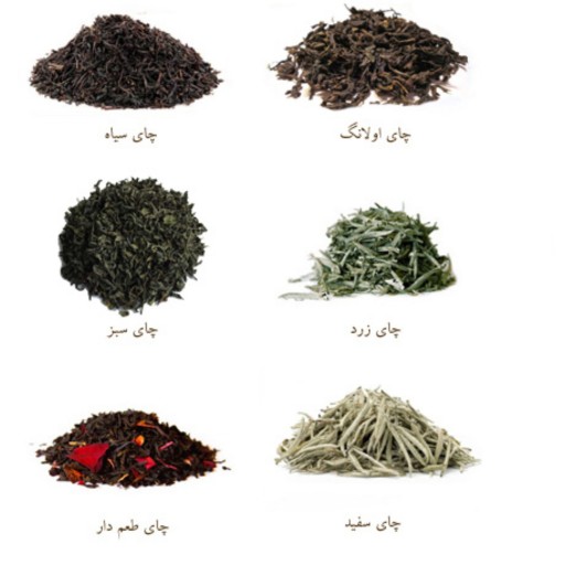 چای ایرانی (یک کیلویی) محصولی از باغات لاهیجان
