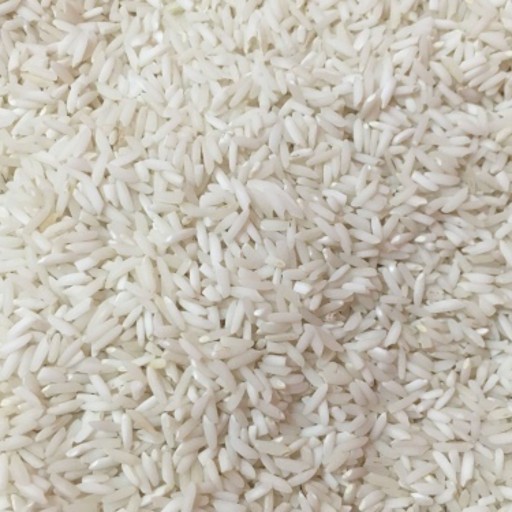 برنج علی کاظمی گیلان 10 کیلوگرم برنج آنلاین