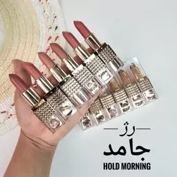 پک رژ جامد گوشتی مخملی hold morning


