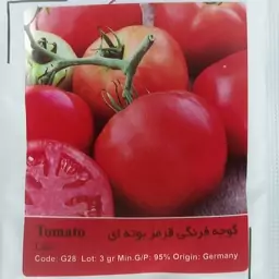 بذر گوجه فرنگی قرمز بوته ای