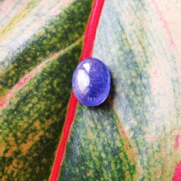 سنگ معدنی و طبیعی  تانزانیت با رنگ آبی یاقوت کبود 1091