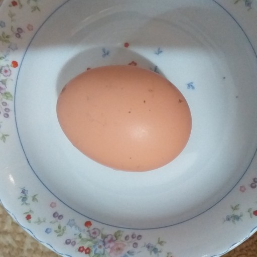 تخم مرغ محلی ستایش