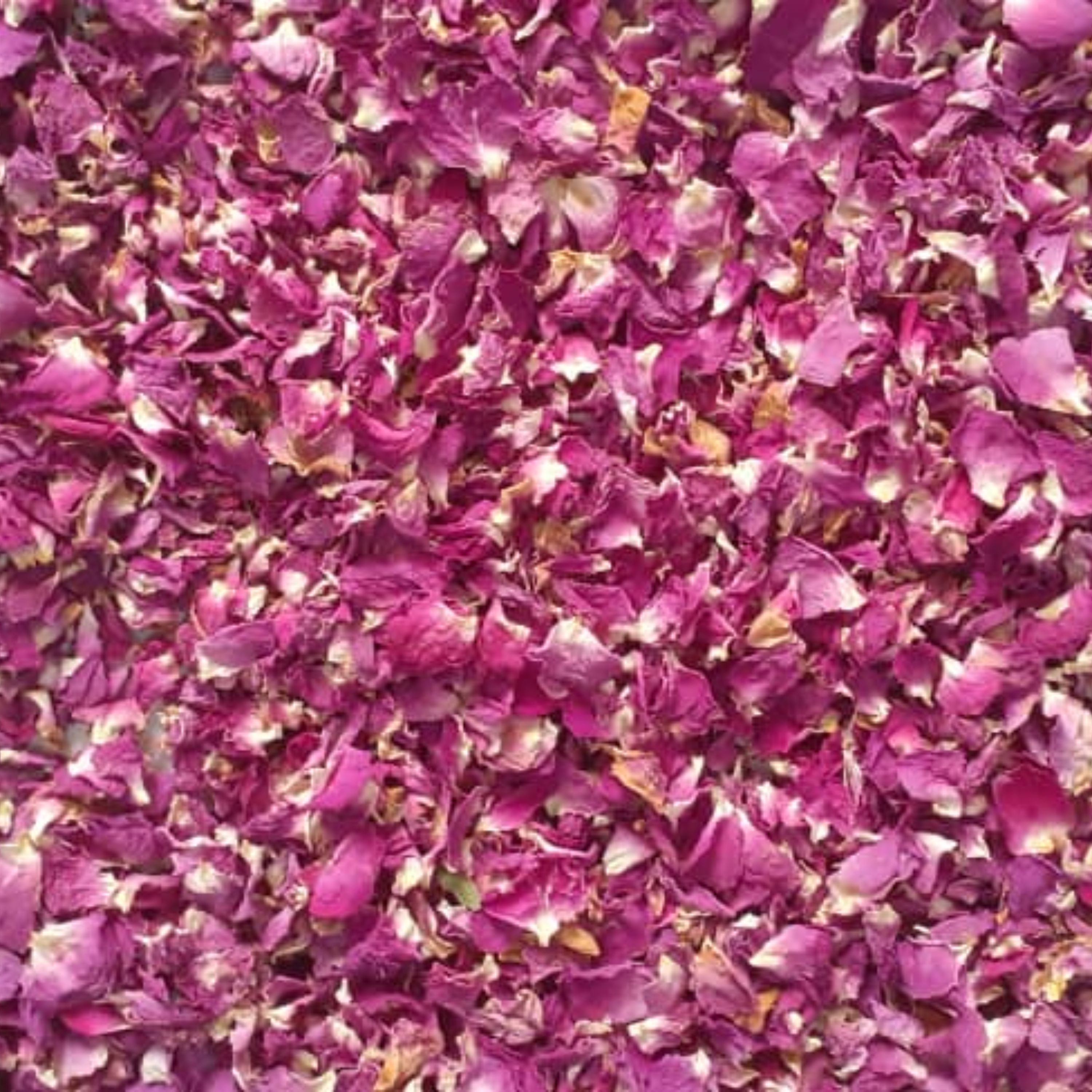 گل محمدی خشک شده 50 گرمی