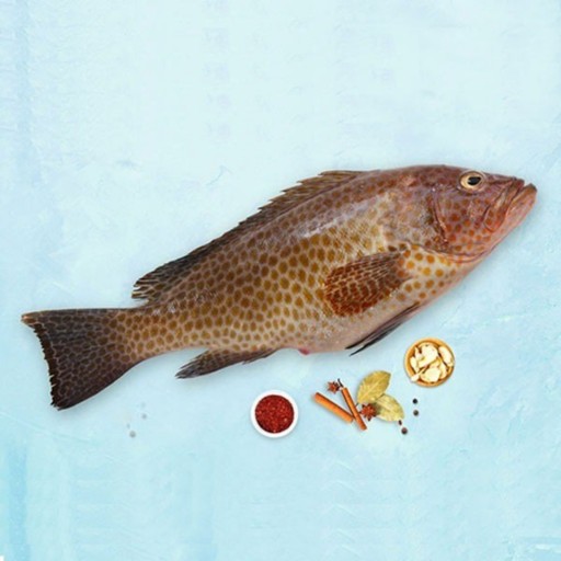 ماهی هامور سمان یک کیلو و نیم فیله شده