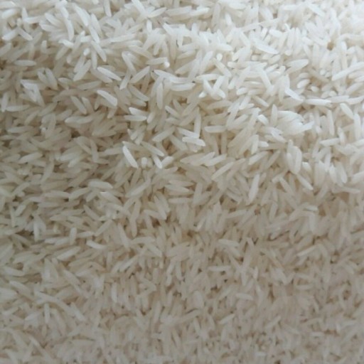 برنج طارم فجر محلی(10 کیلوگرم)